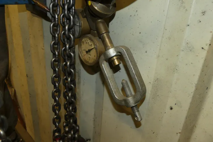Bild