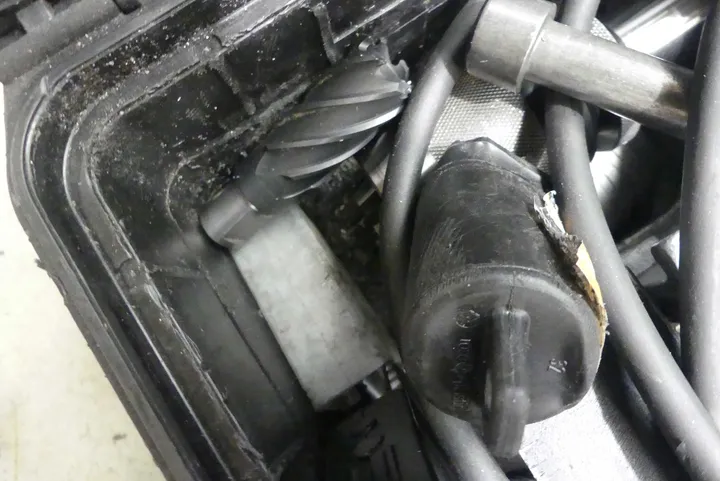 Bild