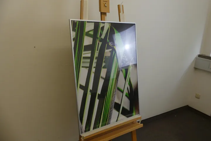 Bild