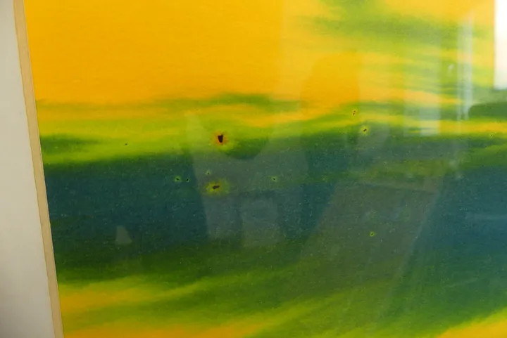 Bild