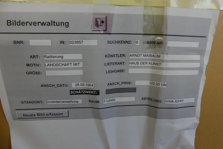 Bild