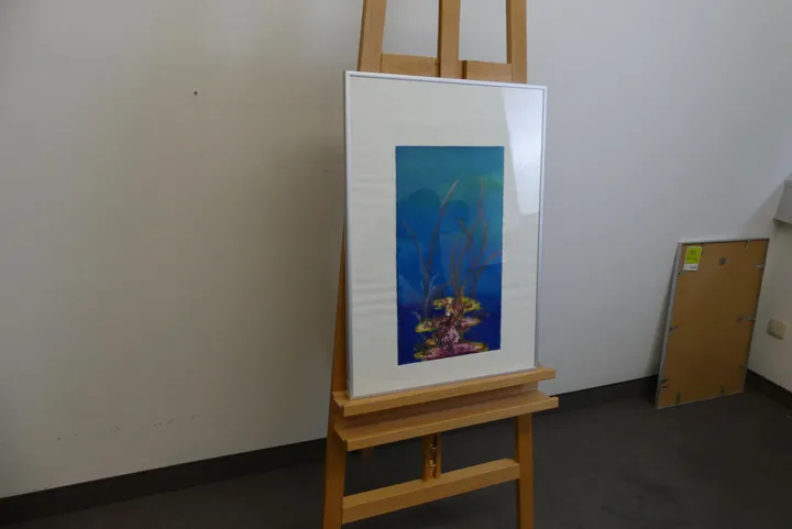 Bild
