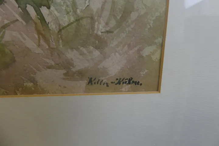 Bild