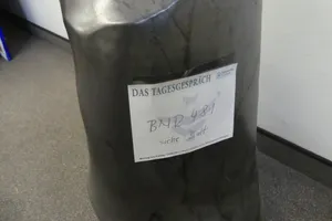Nikolaus von Rechenberg - Körper massiv  2004/19