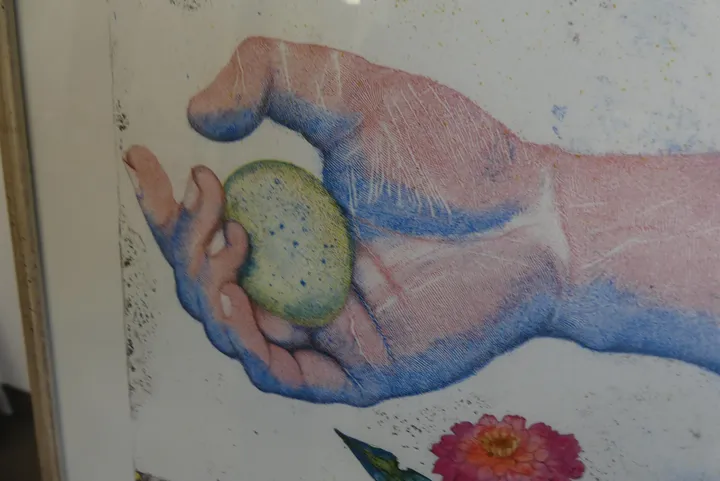 Bild