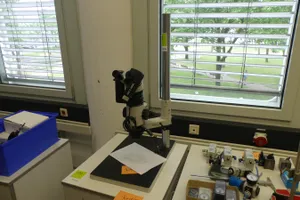 Leica Stereomikroskop