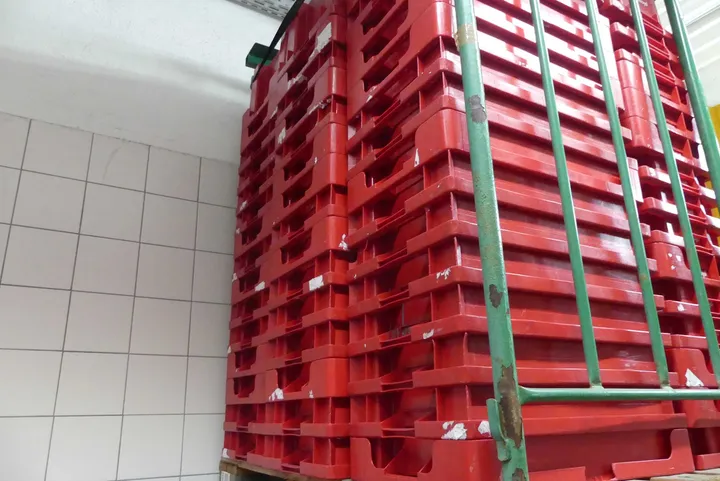 Bild