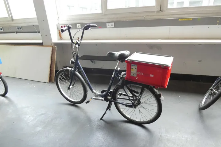 Bild