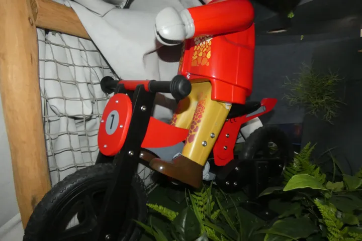 Bild