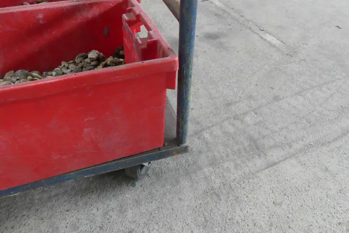 Bild