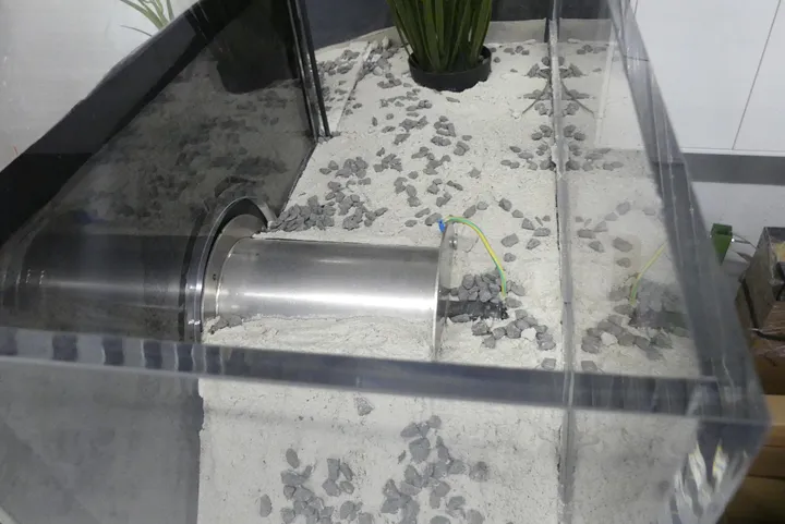 Bild