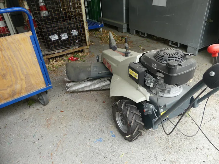 Bild