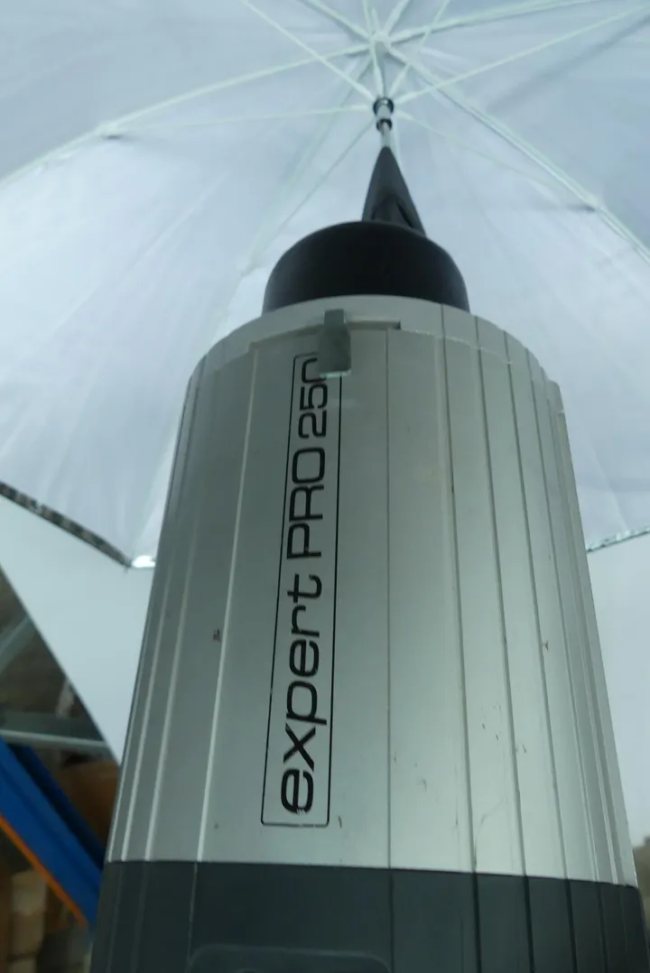 Bild