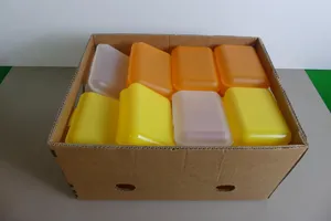 Konvolut Kunststoffdose/Behälter mit Clips (leer)