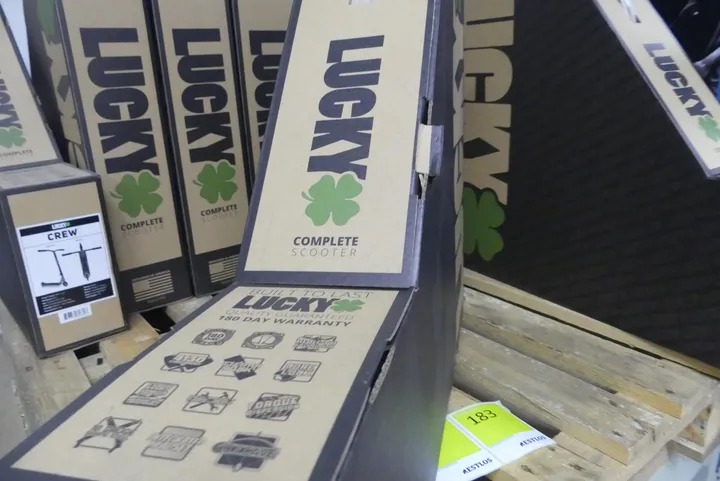 Bild