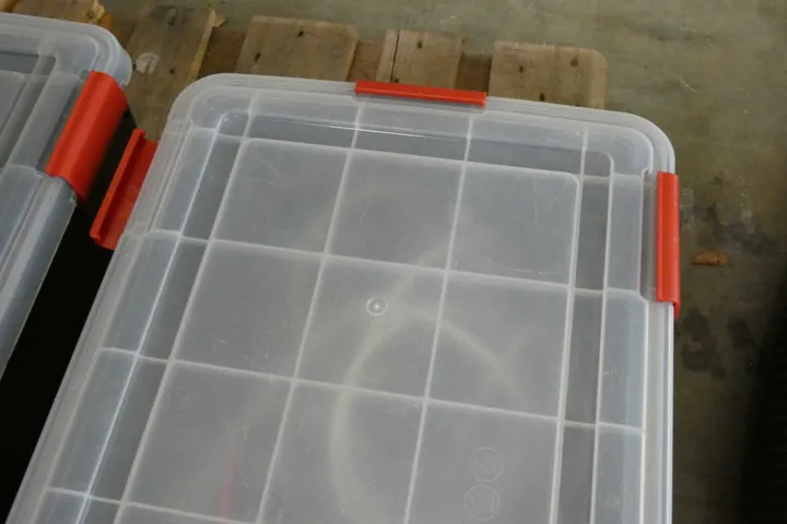 Bild