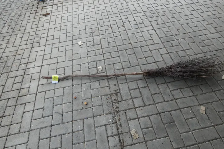 Bild