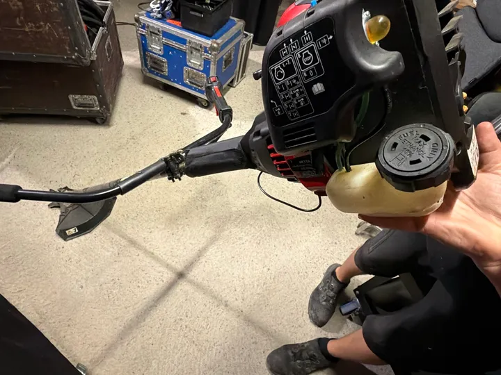 Bild