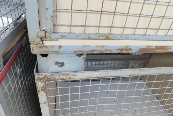 Bild