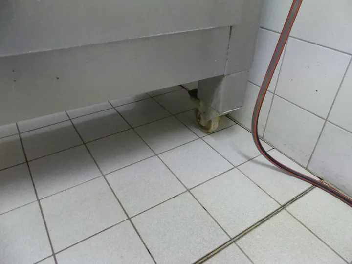 Bild