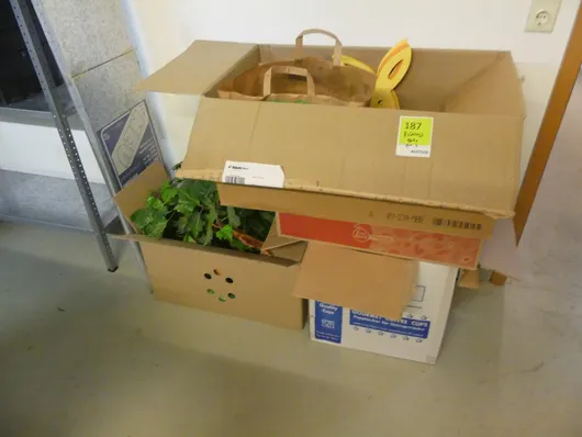 Partij voorjaarsdecoratie