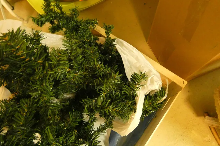 Bild