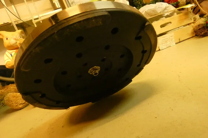 Bild