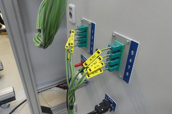 Bild