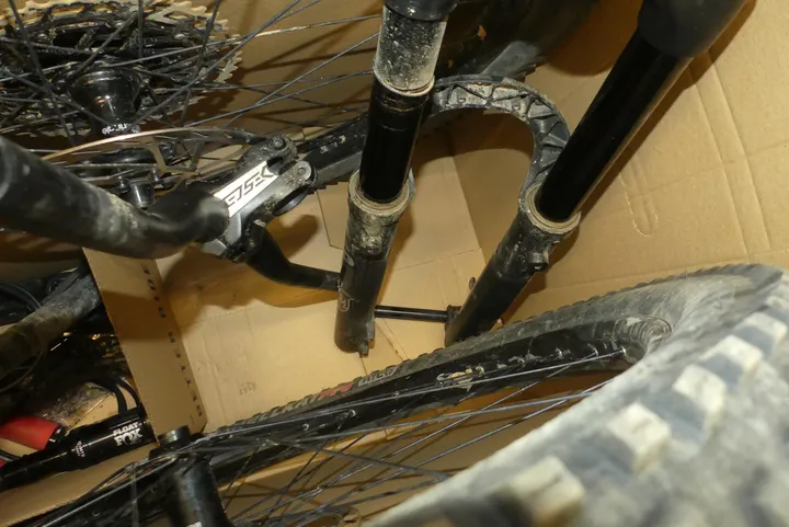 Bild