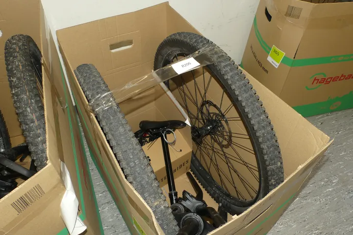 Bild