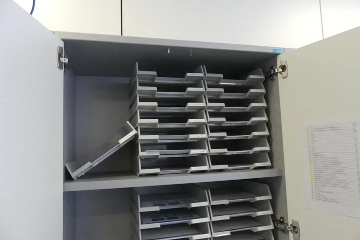 Bild