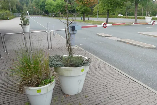 Bild von Los Nr. 5103