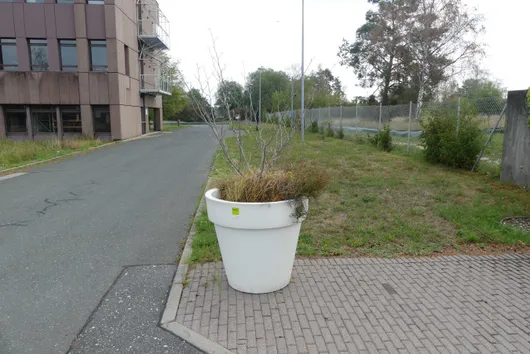 Bild von Los Nr. 5105