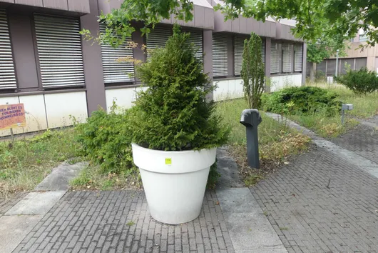 Bild von Los Nr. 5106