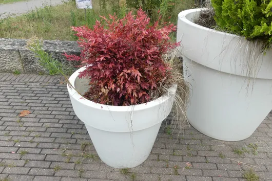 Bild von Los Nr. 5113