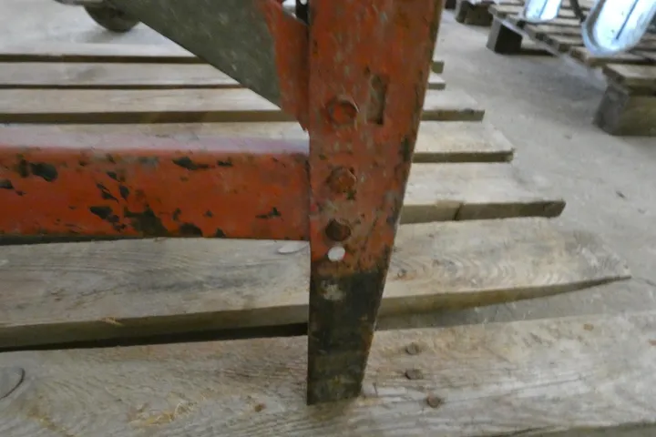 Bild