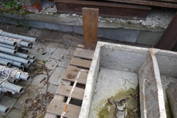 Bild