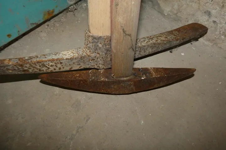 Bild