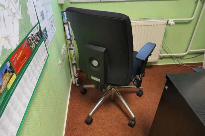 Bild