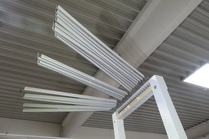Bild