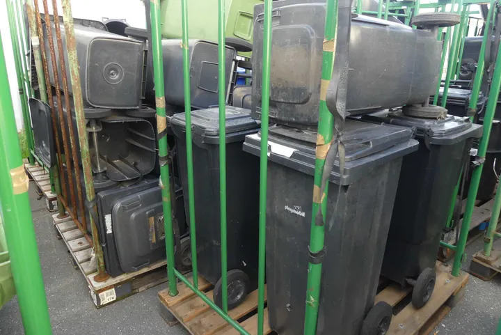 Bild