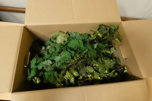 Lot of artificial flowers