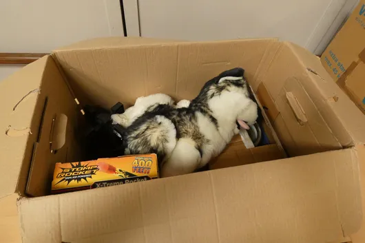 Cat house made of cardboard