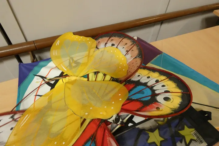 Bild