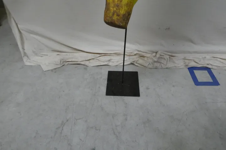 Bild