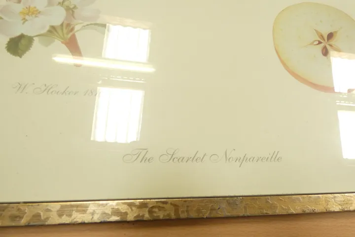 Thumbnail Bild'