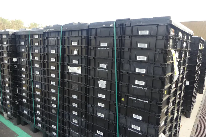 Bild