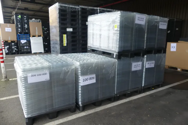 Bild