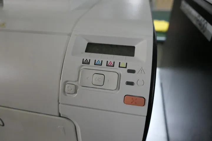 Bild