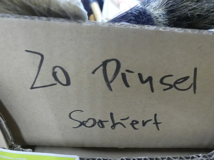 Bild